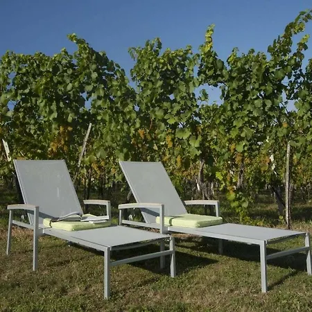 In The Vineyard Nussberg