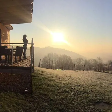 In The Vineyard Nussberg *