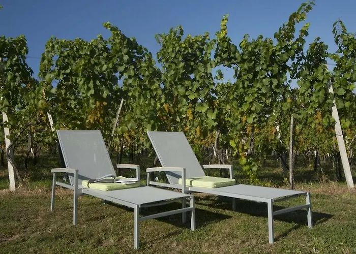 In The Vineyard Nussberg