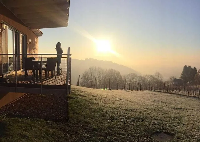 In The Vineyard Nussberg *